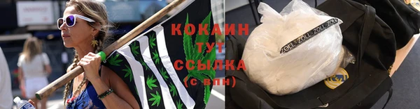 амф Вяземский